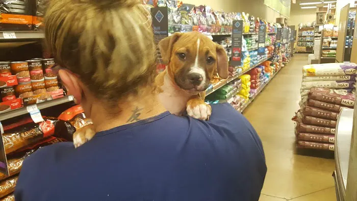 Petco Picture 3