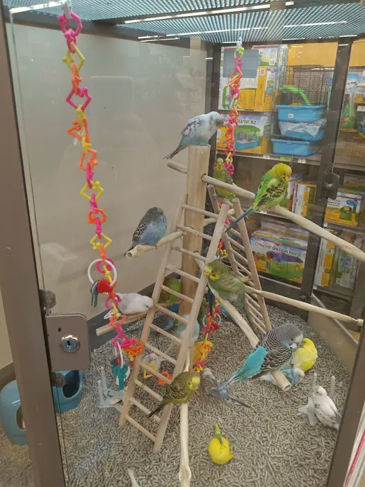 Petco Picture 4