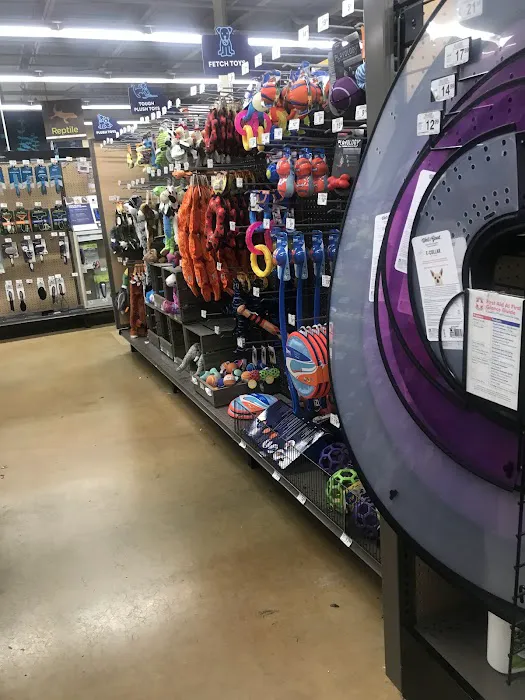 Petco Picture 6