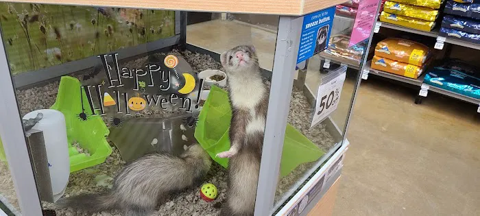 Petco Picture 8