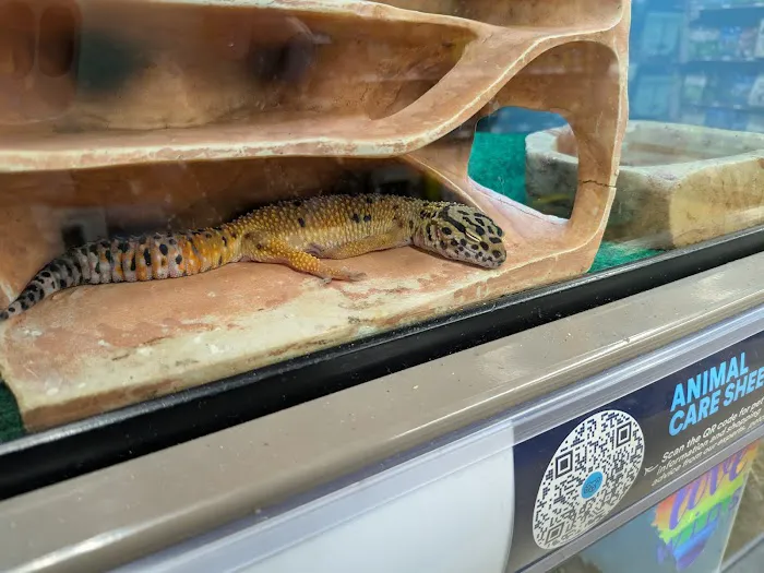 Petco Picture 7
