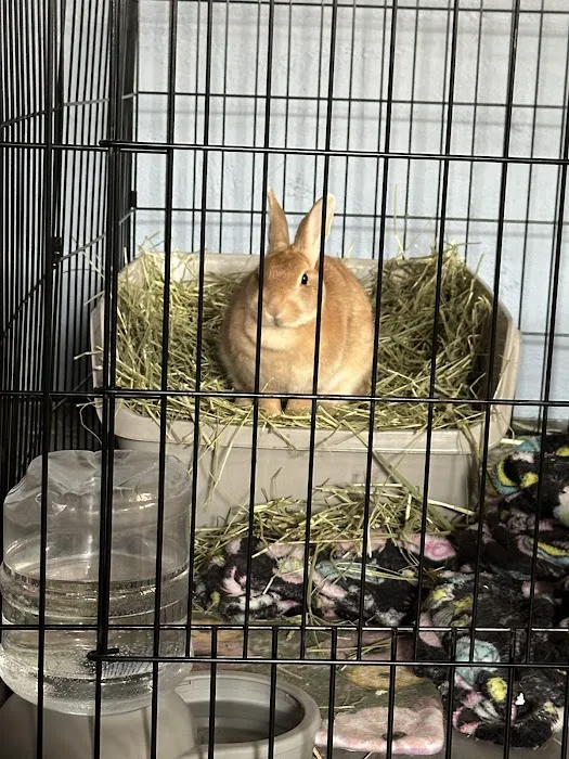 Exotic and Small Animal Hospital of Pennsylvania Picture 1