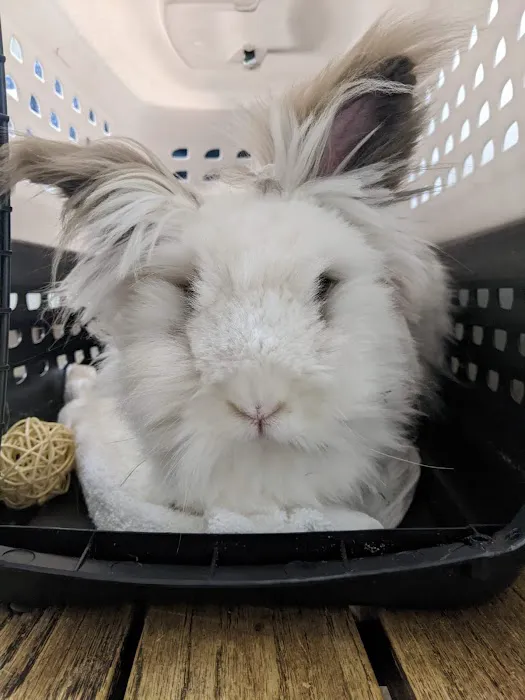 Exotic and Small Animal Hospital of Pennsylvania Picture 3