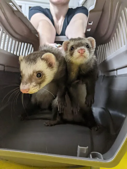 Exotic and Small Animal Hospital of Pennsylvania Picture 4