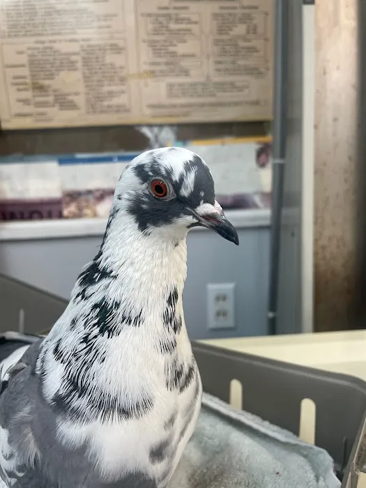 Exotic and Small Animal Hospital of Pennsylvania Picture 5