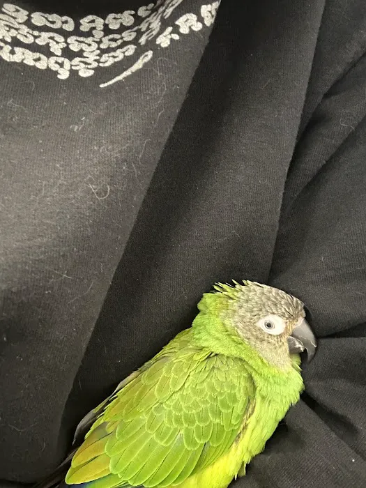 Exotic and Small Animal Hospital of Pennsylvania Picture 10