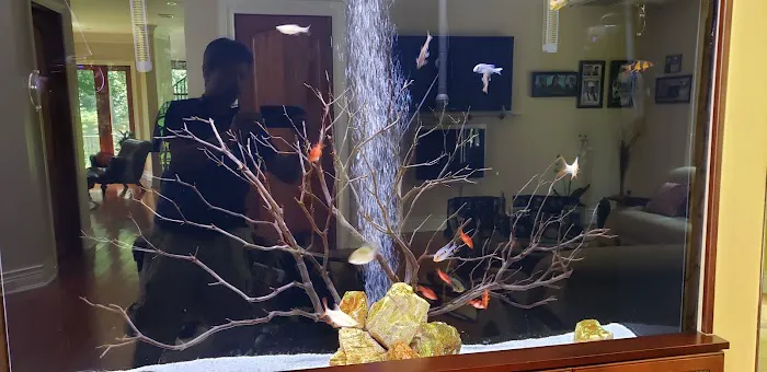 Aquariums Alive Picture 3