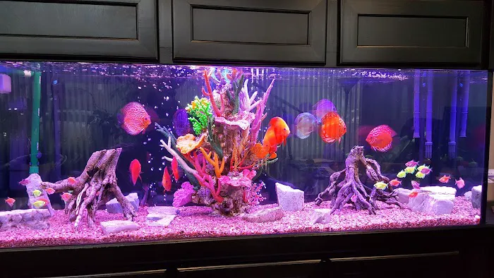 Aquariums Alive Picture 10