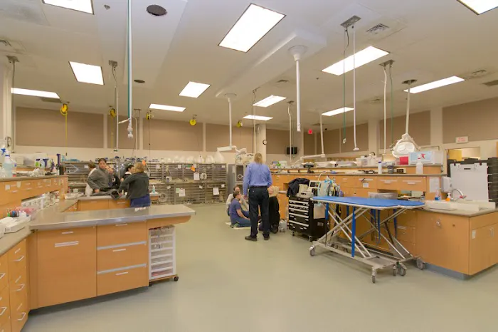 Metropolitan Veterinary Associates Picture 3