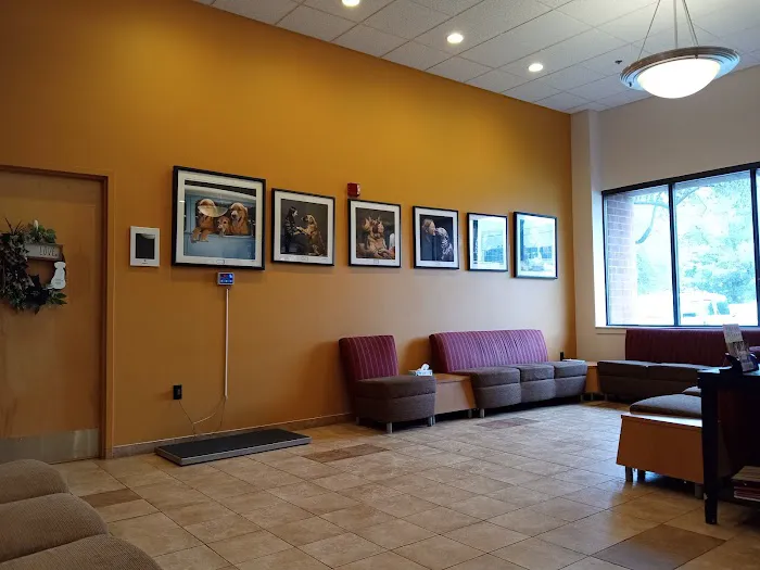 Metropolitan Veterinary Associates Picture 6