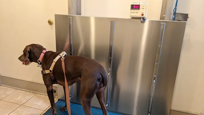 Creature Comforts Veterinary Hospital Picture 1