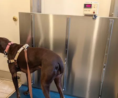 Creature Comforts Veterinary Hospital