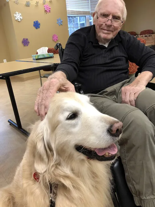 Creature Comforts Veterinary Hospital Picture 4