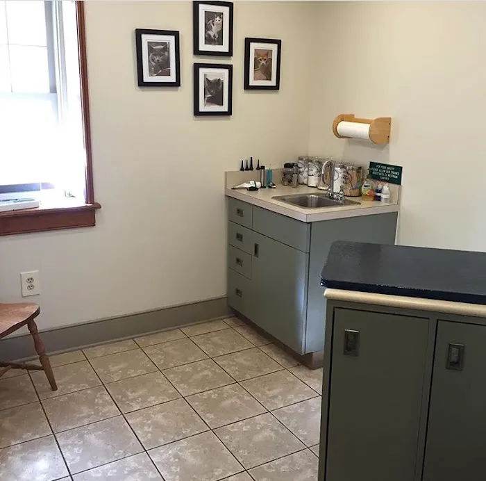 Creature Comforts Veterinary Hospital Picture 7