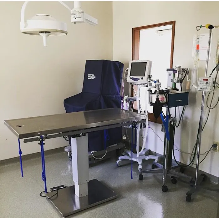 Creature Comforts Veterinary Hospital Picture 8