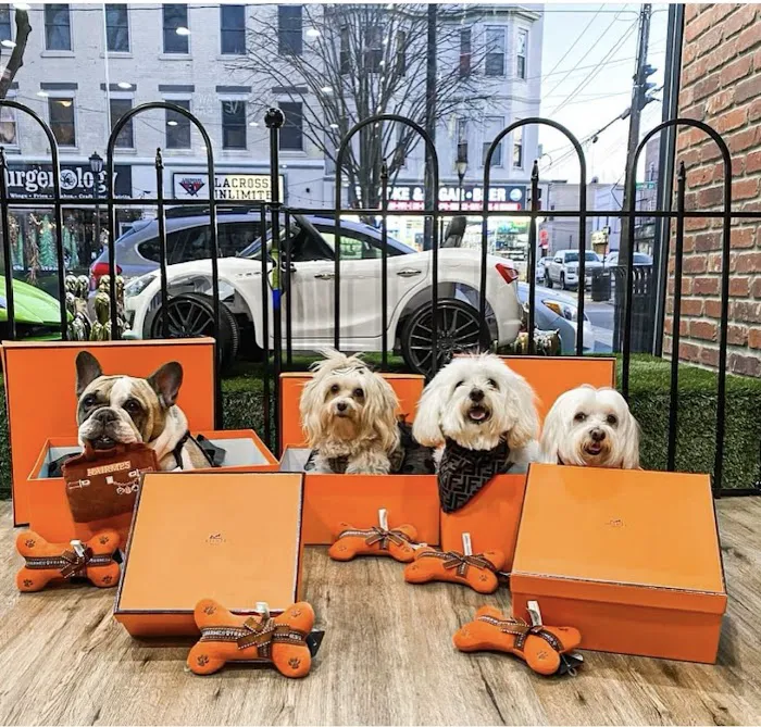Community Pet Supplies - Huntington Village Picture 6