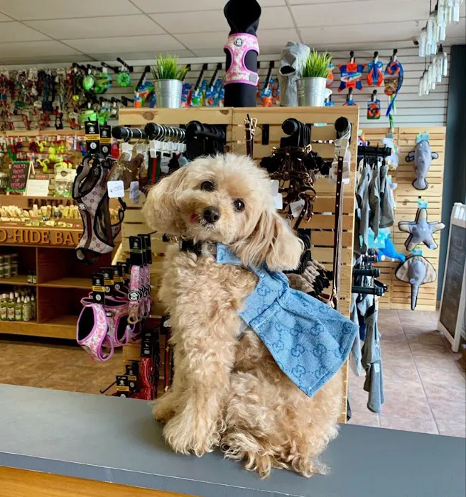 Community Pet Supplies - Huntington Village Picture 5