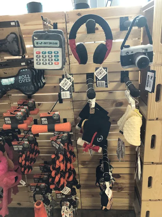 Community Pet Supplies - Huntington Village Picture 10