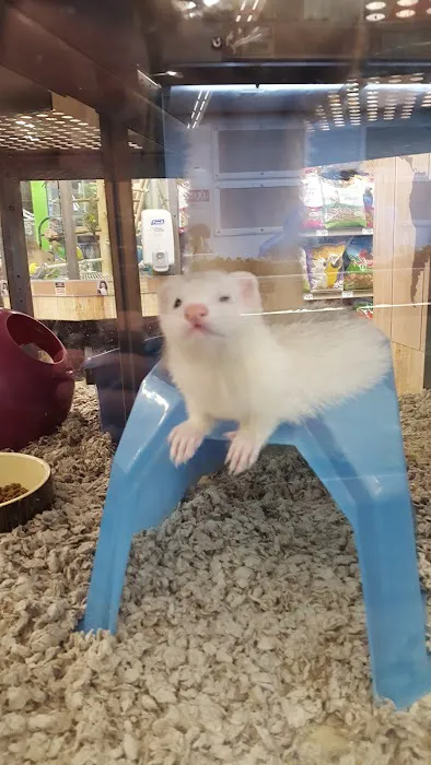 Petco Picture 2