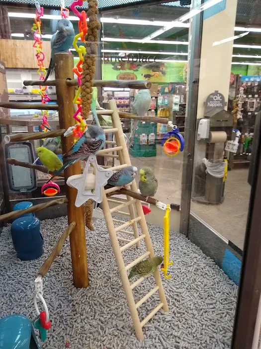 Petco Picture 3