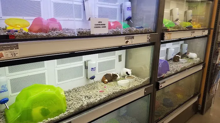 Petco Picture 8