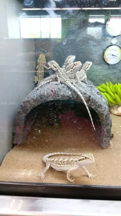 Petco Picture 6