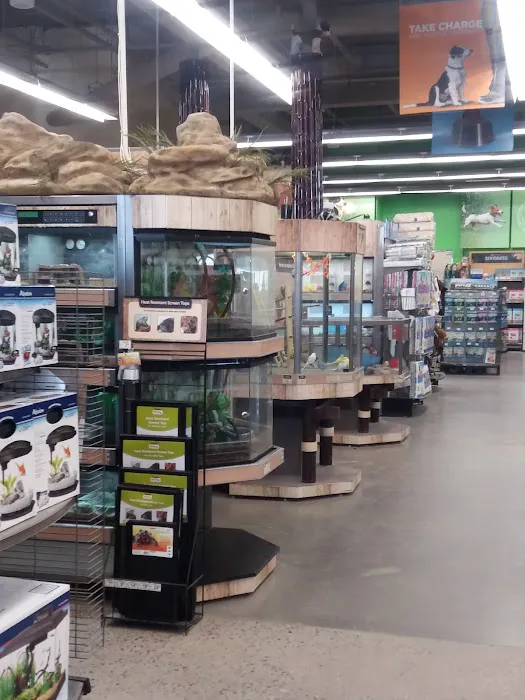 Petco Picture 5