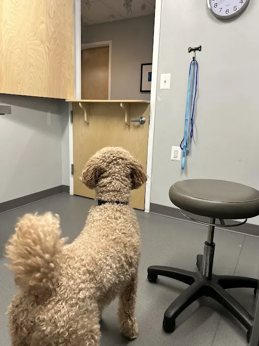 Ark Animal Hospital Picture 4