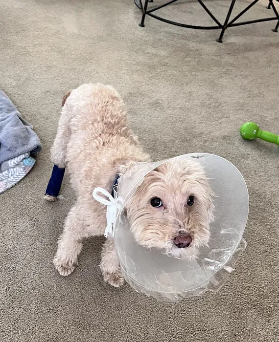 Ark Animal Hospital Picture 9