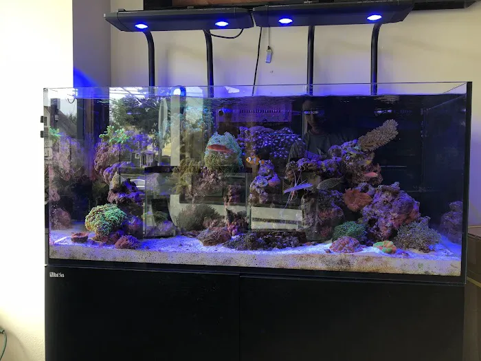 House of Fins Picture 3