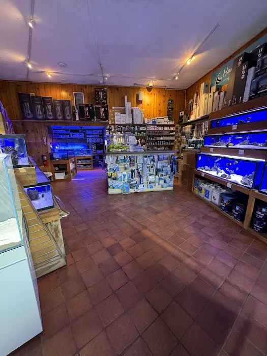 House of Fins Picture 4