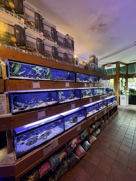 House of Fins Picture 2