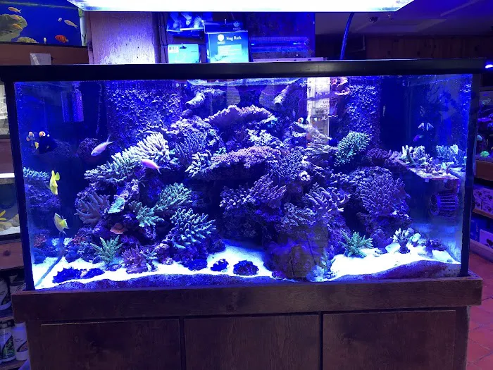 House of Fins Picture 9