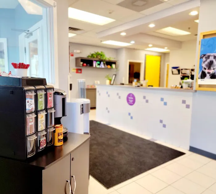 VCA Gwynedd Animal Hospital Picture 3