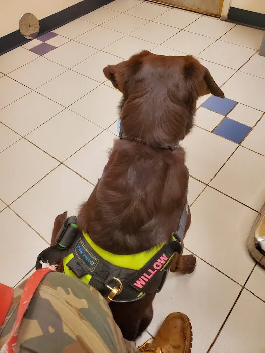 VCA Gwynedd Animal Hospital Picture 1