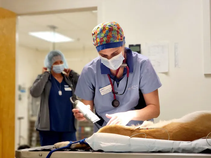 VCA Gwynedd Animal Hospital Picture 9