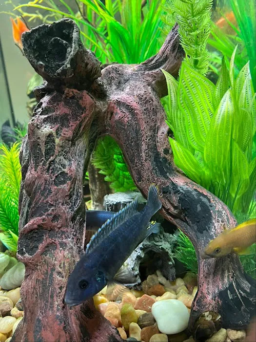 Greenwich Aquaria Picture 4