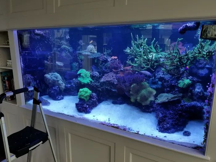 Greenwich Aquaria Picture 1