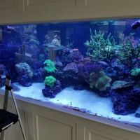 Greenwich Aquaria ico