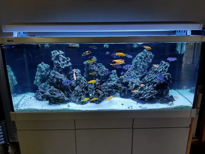 Greenwich Aquaria Picture 6