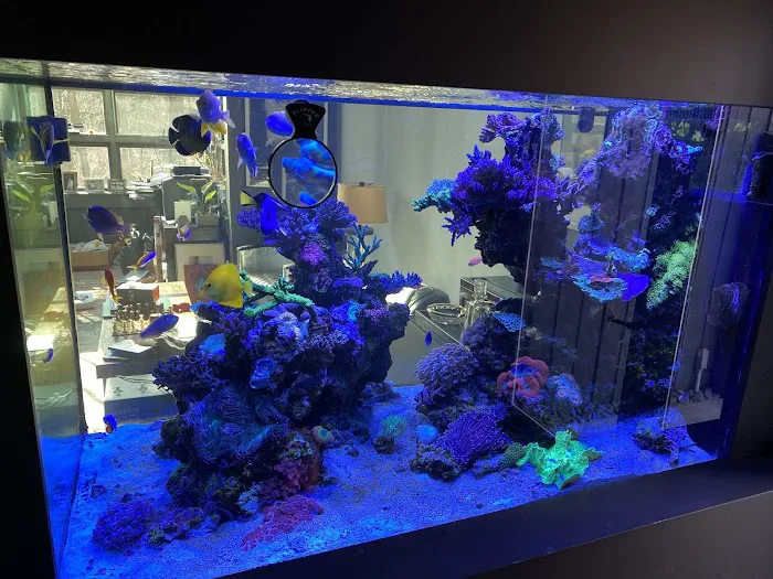 Greenwich Aquaria Picture 9