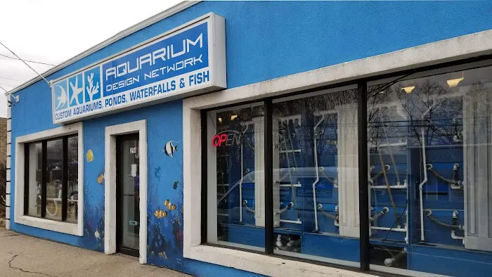 Aquarium Design Network Picture 1