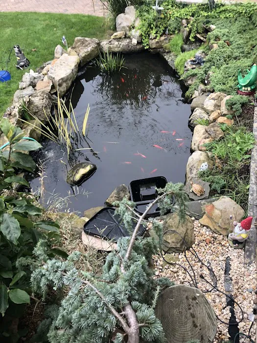 Aquarium Design Network Picture 6