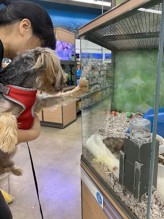 Petco Picture 1