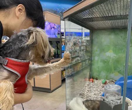 Petco