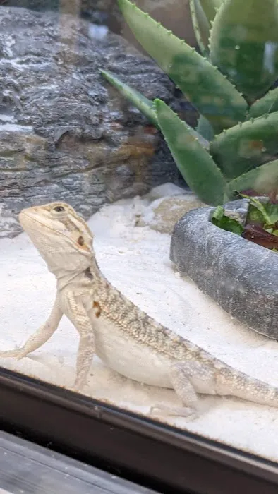 Petco Picture 7