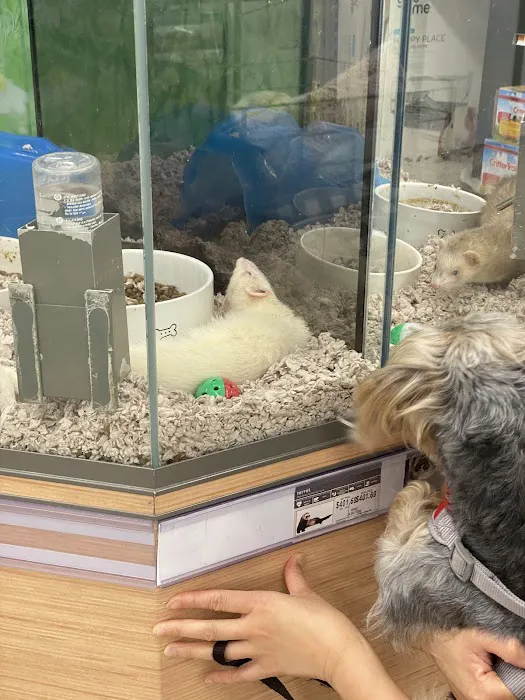 Petco Picture 5