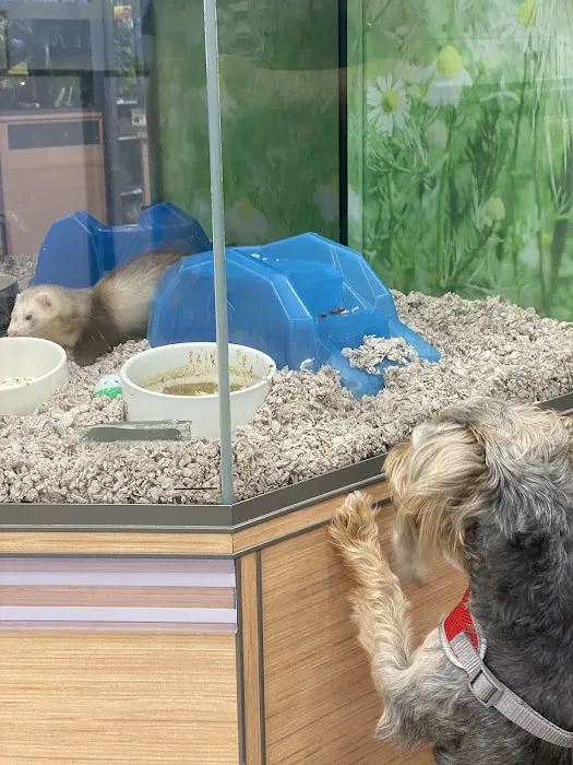 Petco Picture 8
