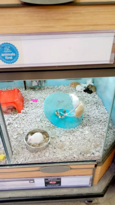 Petco Picture 10