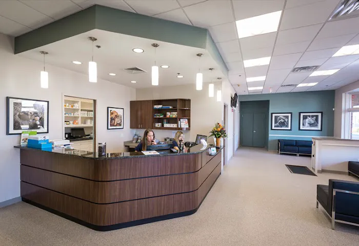 Central Veterinary Center Picture 6